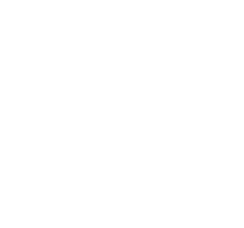 Dinos & Caninos - Pet shop concept